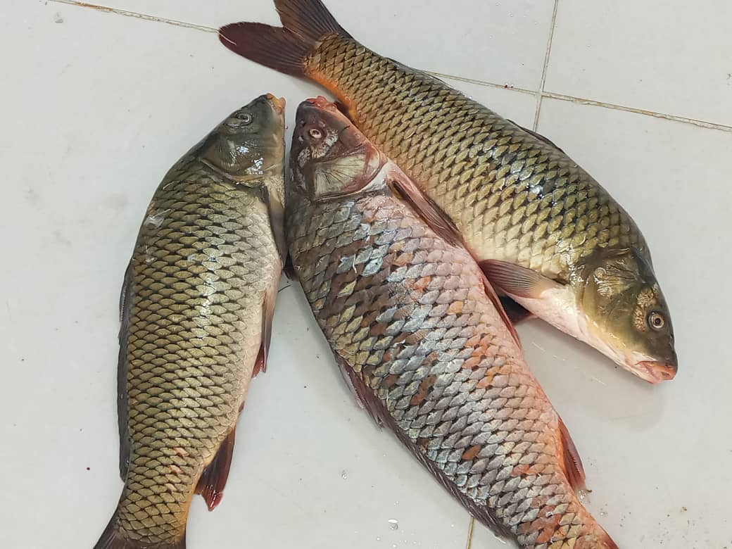 نمونه شماره3