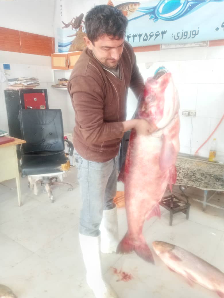 نمونه شماره2