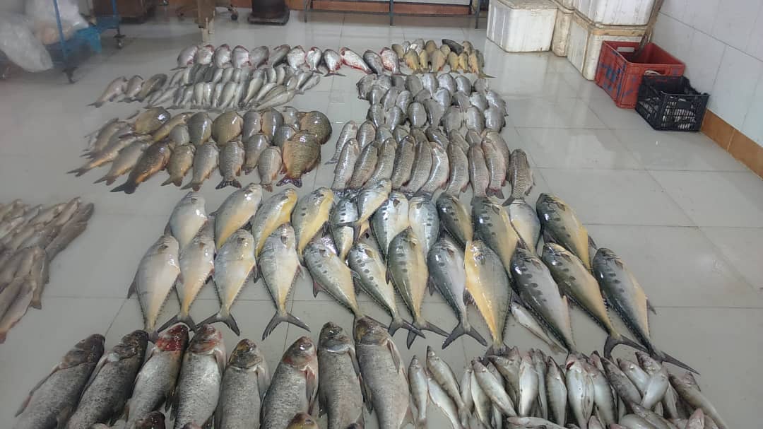 نمونه شماره4